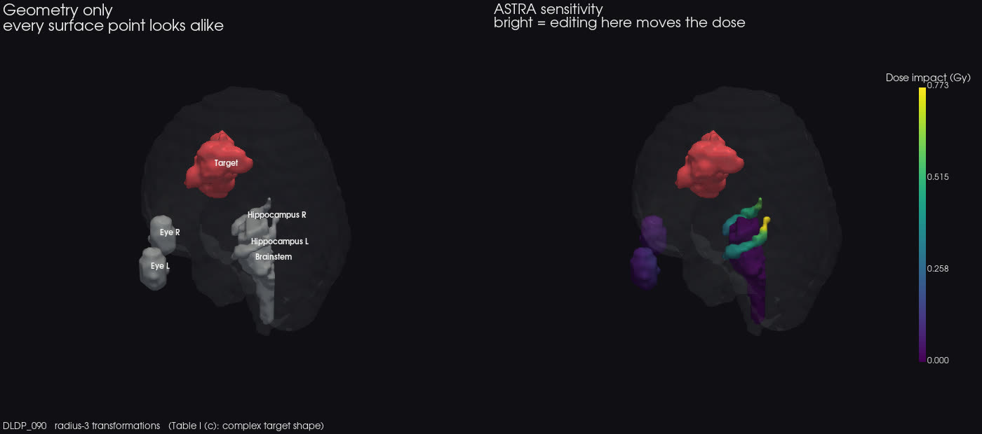 Two 3-D renders side by side of the same patient anatomy: on the left the target volume in red with the organs at risk in plain grey, on the right the same organs painted with a sensitivity map running from dark for low dose impact to bright for high.