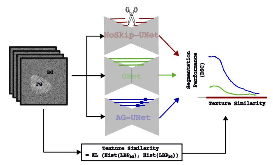 Overview: synthetic images with a textured foreground on a textured background are segmented by three U-Net variants; task complexity is measured as the KL divergence between local binary pattern histograms of foreground and background.